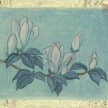 guan_blue_magnolia01