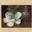 guan_magnolia_imari001