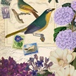 Bird_Botanical02