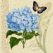 Fresh_Botanical_Blue