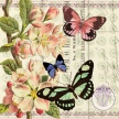 butterfly_botanical03