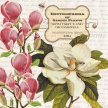 magnolia_botanical01