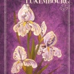 
	Title: Iris Spring I
	Artist: Adam Guan
	Medium: Acrylic on Canvas
	Image Number: FA 1934 AG
	Size: 18 x 24
